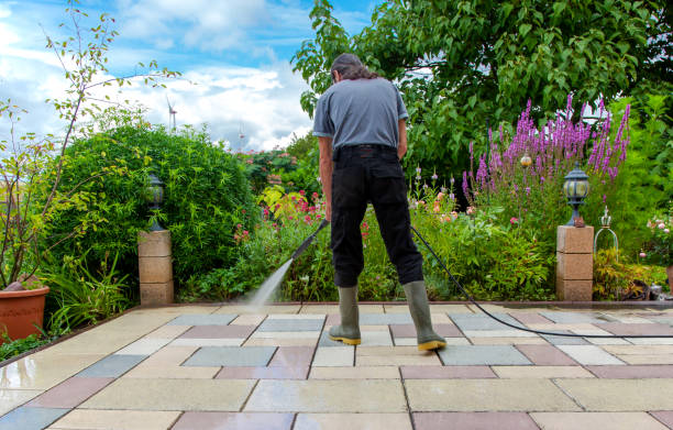 Best Animal Enclosure Cleaning  in Bellmawr, NJ